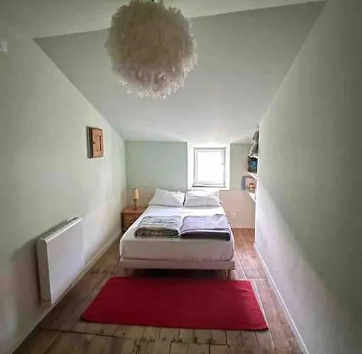 Confort Et Ressourcement Au Vert Appartement Renaison